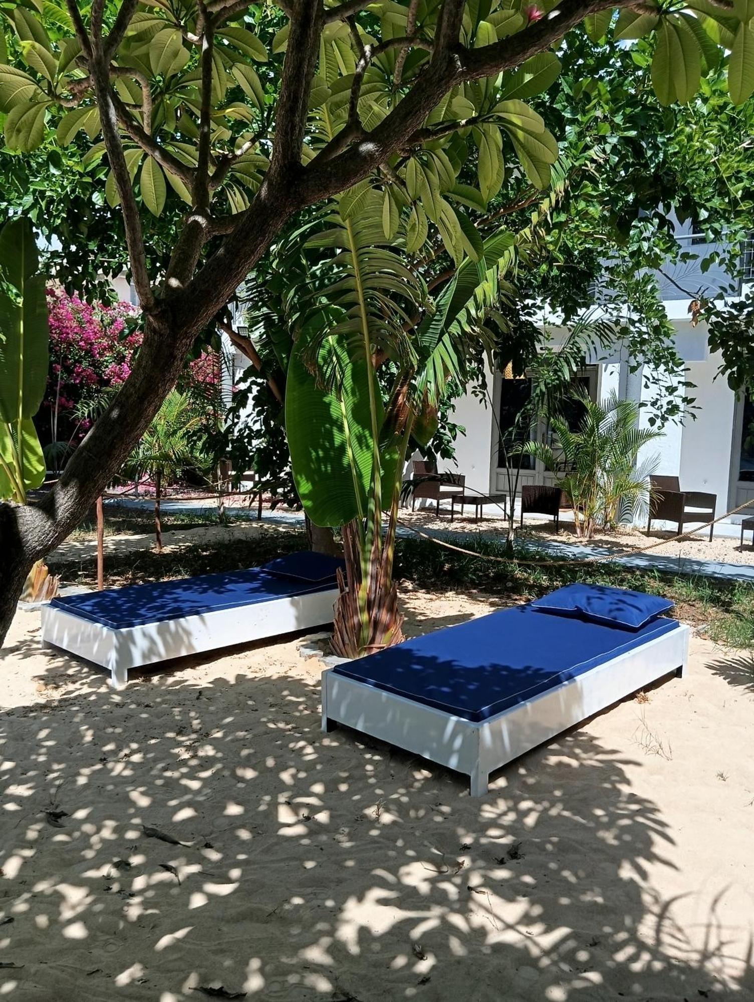 Exotica Sense Flic en Flac Exterior foto