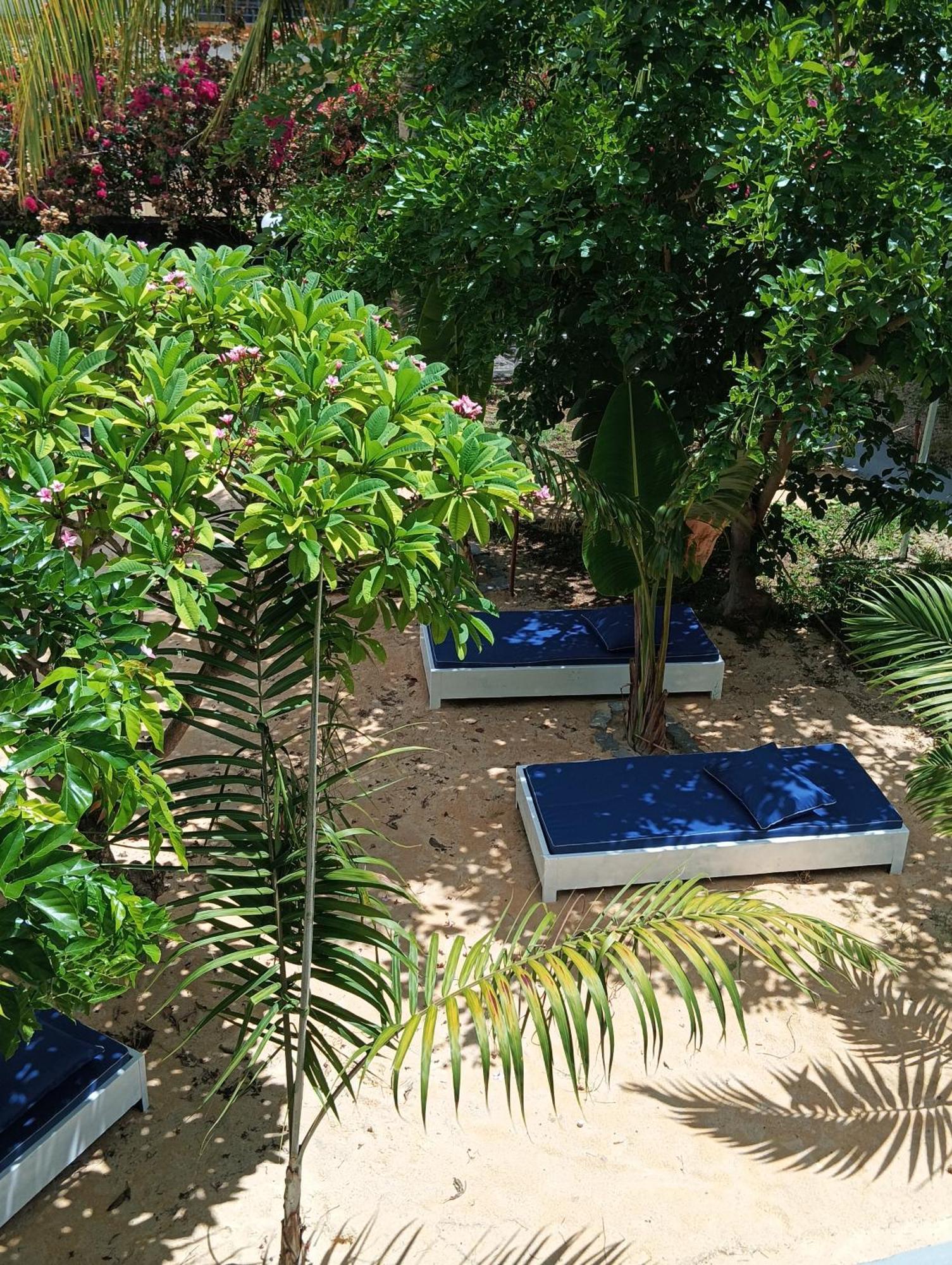 Exotica Sense Flic en Flac Exterior foto
